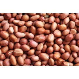 Raw Spanish Peanuts - 5 lb. Box - Treasured Harvest Brand