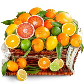 With Sympathy Sweet Sunshine citrus Fruit Basket gift