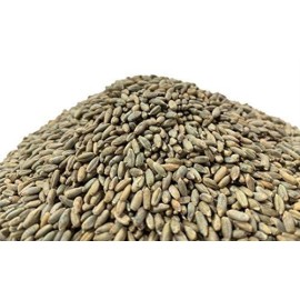 Executive Deals All Natural Rye Berries, Non-Gmo & Usda Certified - 10 Pounds (Double-Sealed)
